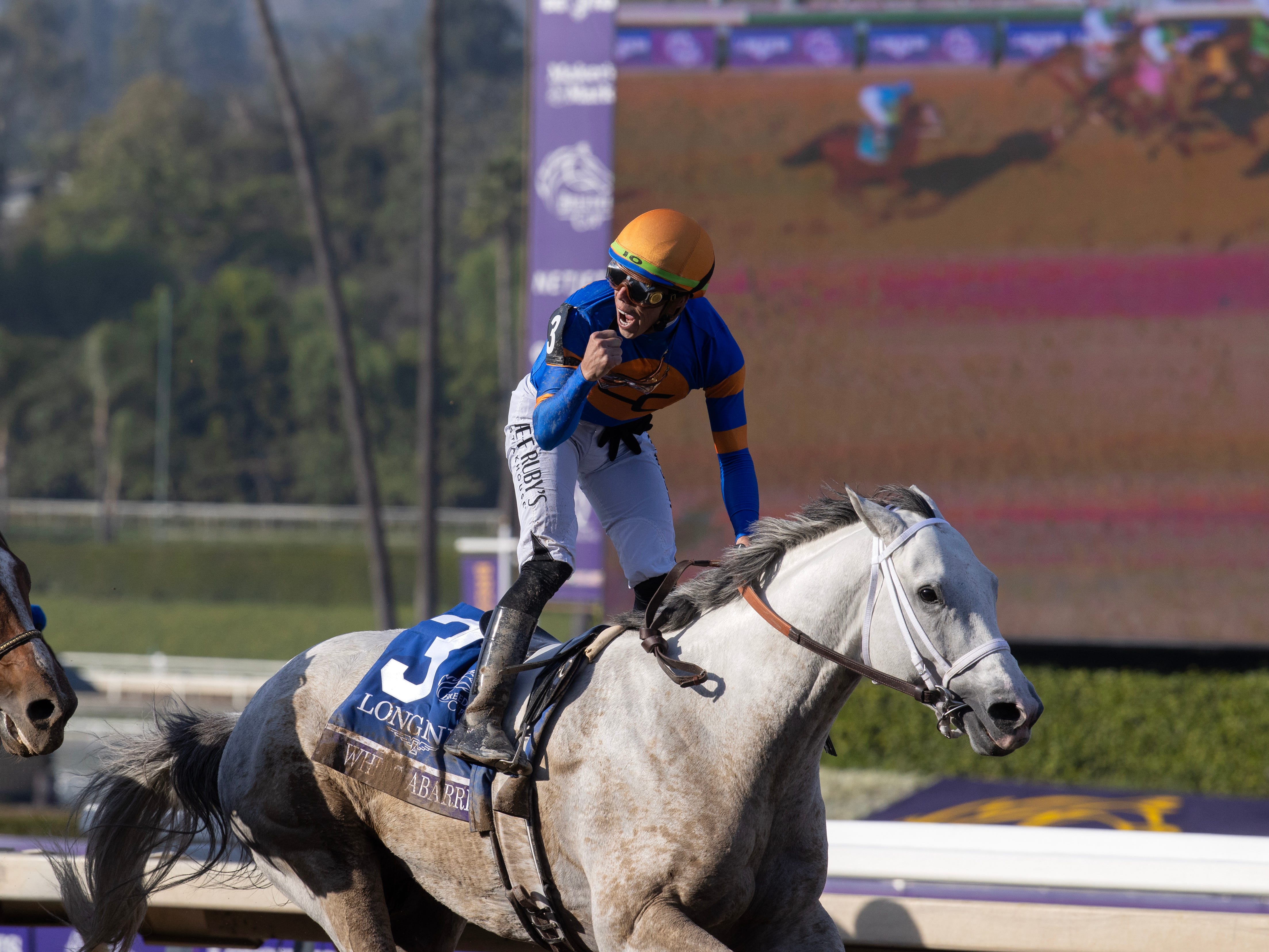 White Abarrio tops 14horse field expected for Saudi Cup